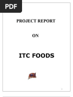 Project On ITC Foods