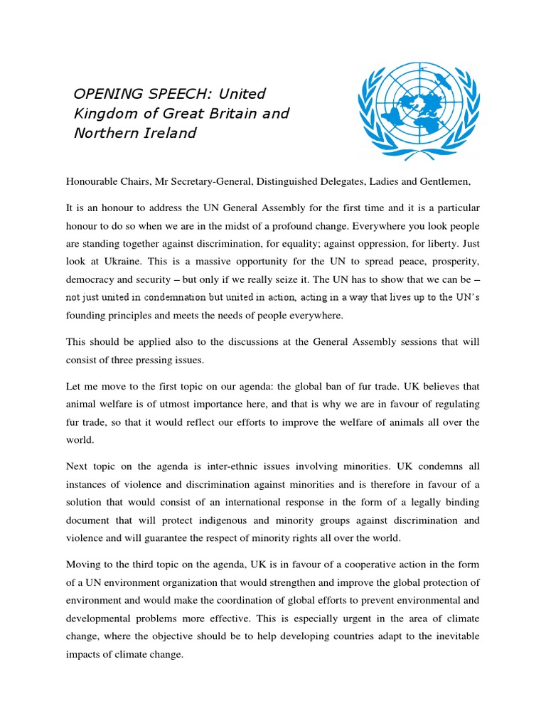 Opening Speech | PDF | United Nations | International Relations