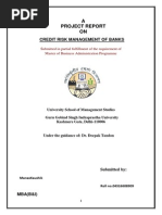 Download Credit Risk Management by PriyankaArora SN220031467 doc pdf