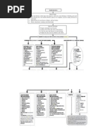 Karnofsky/Lansky Performance Status | PDF