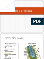 BAKTERIOLOGI 2