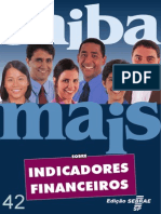 IndicadoresFinanceiros_SEBRAESP