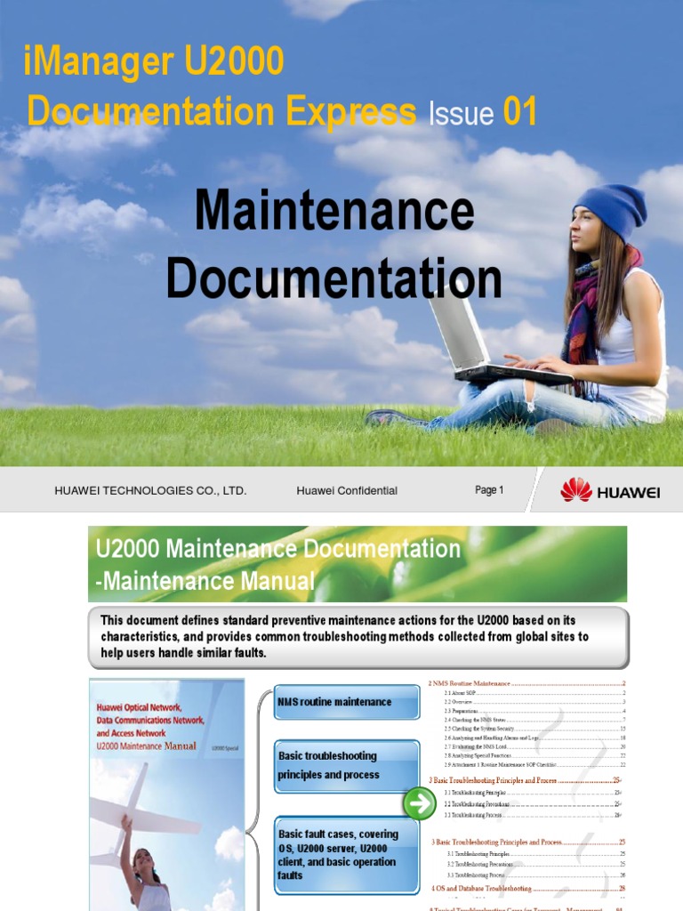 U2000 Maintenance Documentation | PDF | Documentation | Troubleshooting