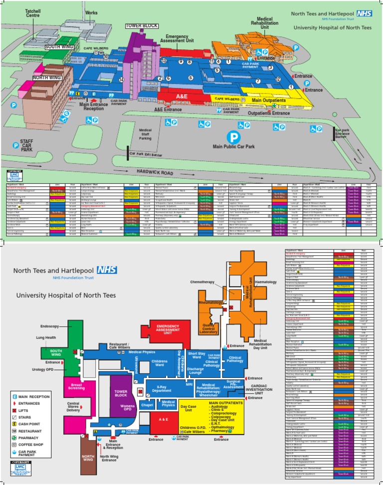 N Tees 2013 PDF Physical Therapy Emergency Department