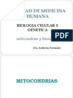 Mitocondrias y Lisosomas