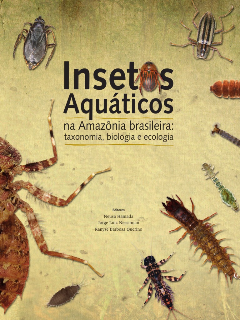 Pranchas e esp. aquáticos em Porto Alegre e região, RS