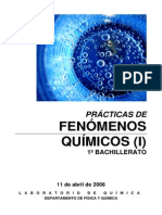 Prácticas Quimica PDF