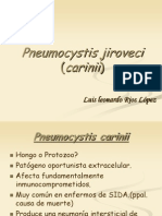 Pneumocystis jiroveci infección pulmonar