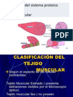 Bioquimica Del Sistema Proteico Muscular 2012