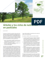 Arboles y Ciclos de Nutrientes en Pastizales Leisa