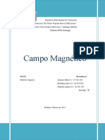 Campo Magnetico