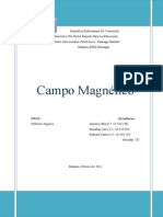 Campos Magneticos PDF