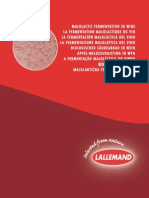  Lallemand Mlf in Wine