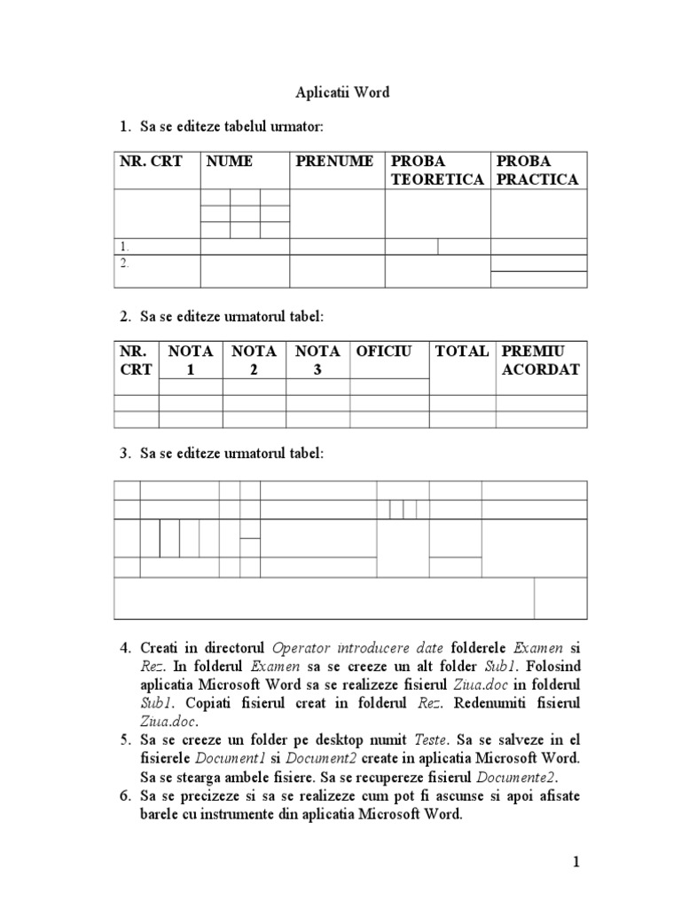 Subiecte Microsoft Word | PDF