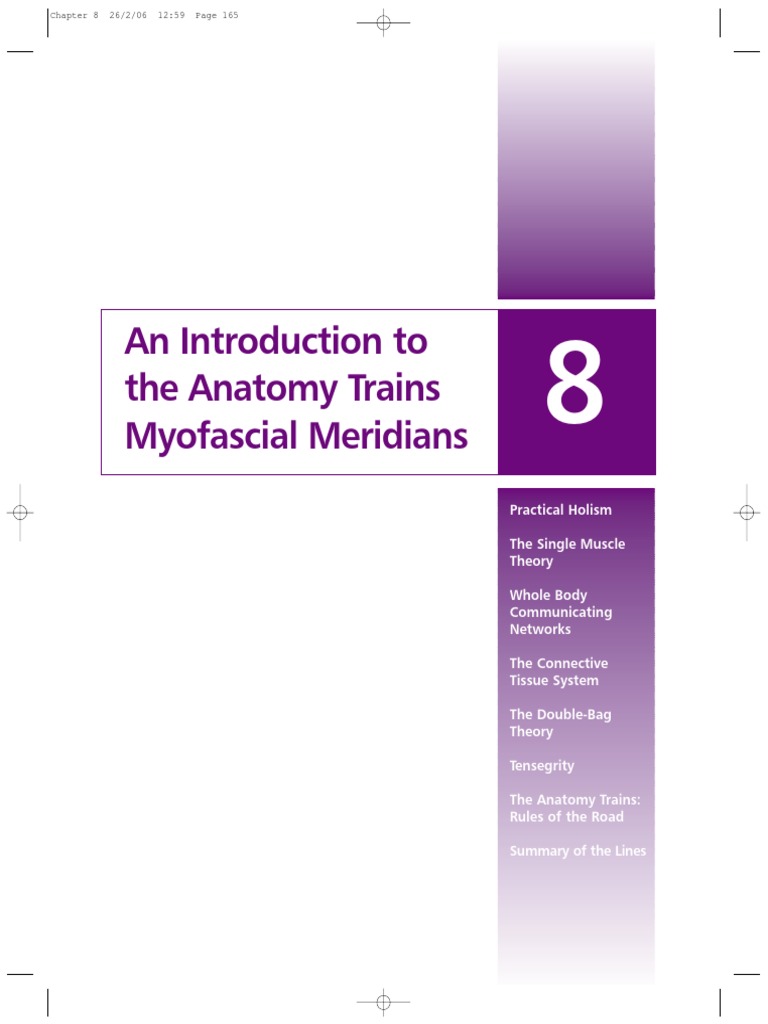 ANATOMY TRAINS SUMMARY intelligence overview