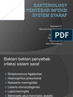 Bakteri Di Syaraf