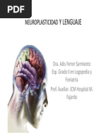 Neuroplasticidad y Lenguaje 1