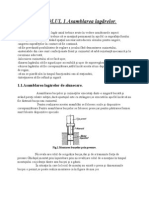 CAPITOLUL 1 Atestat Cilibiu