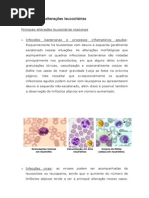 Citologia Das Alterações Leucocitáriasmuito Bom