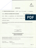 Fonasa Marcelo Pinto PDF