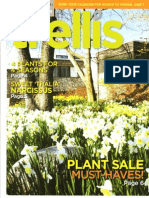 Trellis Magazine Cover Photo of naturalized bed of daffodils at the Toronto Botanical Garden