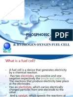 Phosphoric Acid Fuel Cell(Pafc)