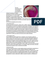 Escherichia Coli