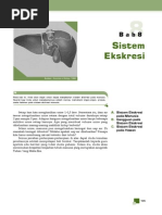 Sistem Ekskresi BSE