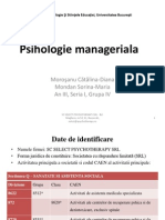 POWERPOINT Plan de Afacere-psih Manageriala (2)