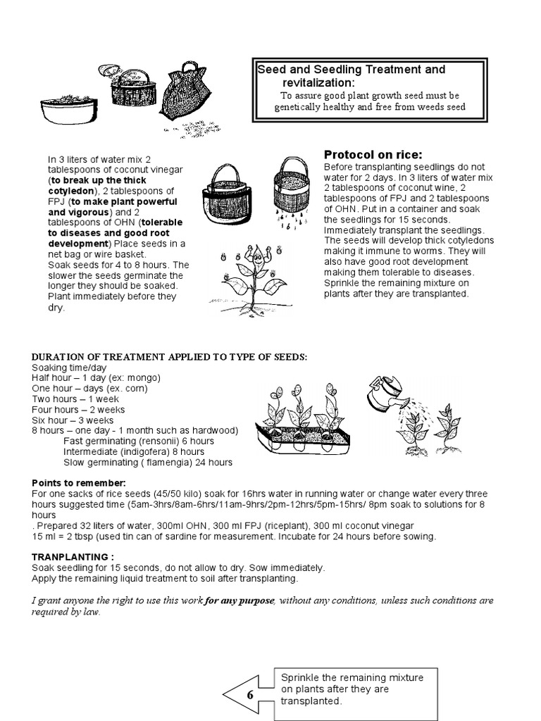 Seed Soaking and Transplanting Guide | PDF | Home & Garden