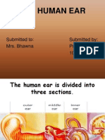 The Human Ear: Submitted To: Submitted By: Mrs. Bhawna Prabhjot Kaur 10 D
