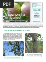 Ficha Tecnica 38 2011