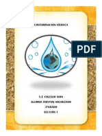 Contaminación Hidrica 1