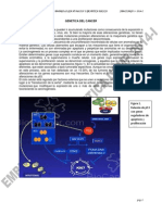 Sem 3 Genetica Del Cancer (1)