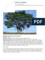 Copaíba - Copaifera Langsdorffii - Ticiane Rossi PDF