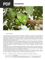 Cultura da Goiabeira - EMBRAPA.pdf