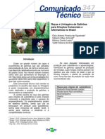 Raças e Linhagens de Galinhas para Criações Comerciais e Alternativas no Brasil.pdf