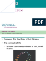 Chapter 12 - The Cell Cycle