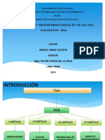 Proyecto Liderazgo Transformacional Marzo 2014