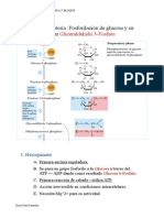 Vias metabólicas.pdf