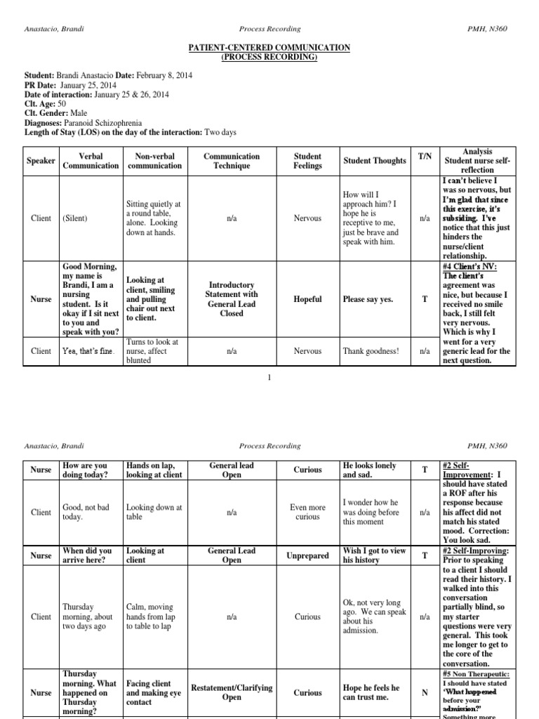 360 Process Recording Template PDF Nonverbal Communication Emotions