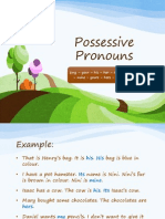 Possessive Pronouns 