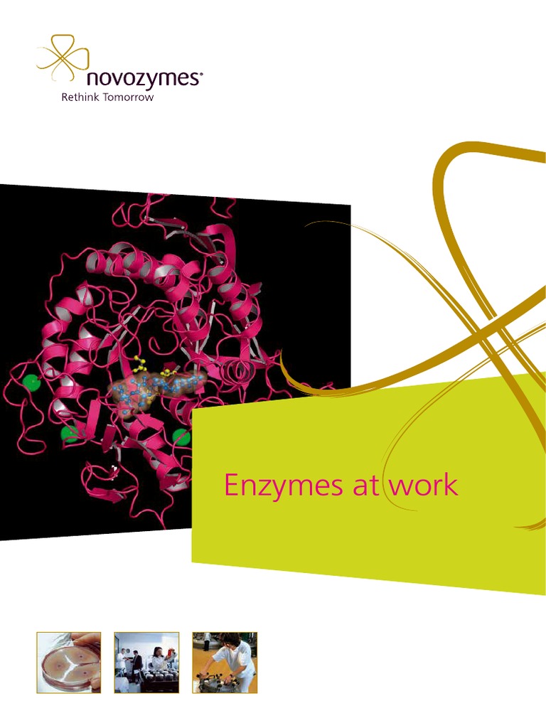 Enzymes in The Industry | PDF | Pulp (Paper) | Chemical Reactions
