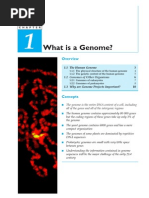 Download Human Genome by graceperiod SN22056138 doc pdf
