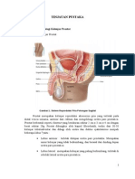 Prostatic Hypertrophy Viko