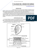 42-Calidad y Composicion Del Grano de Sorgo