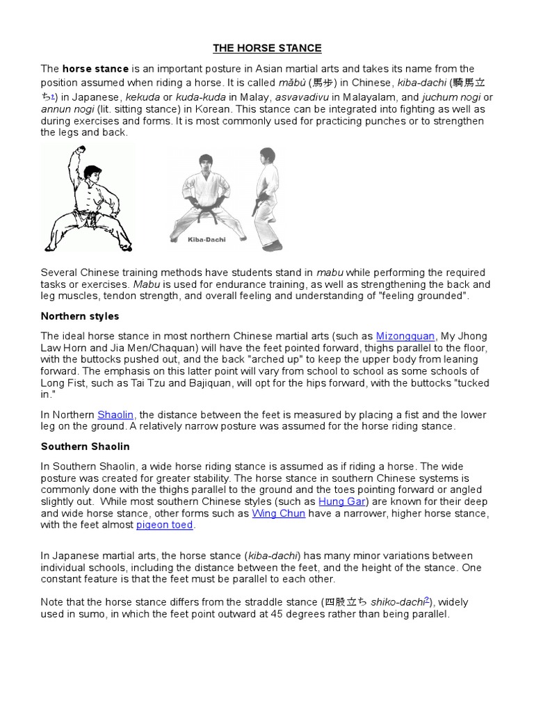 kata horse stance Chinese Martial Arts Combat Sports