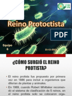 Reino Protoctista (Arreglado)