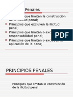 Principios Penales