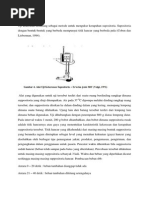 Download Uji Kekerasan Dan Uji Disolusi Suppositoria by DefitriTrimardani SN220603714 doc pdf